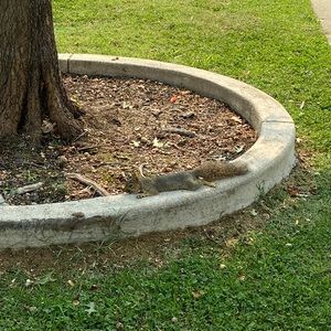 Meet your Posher, Soana